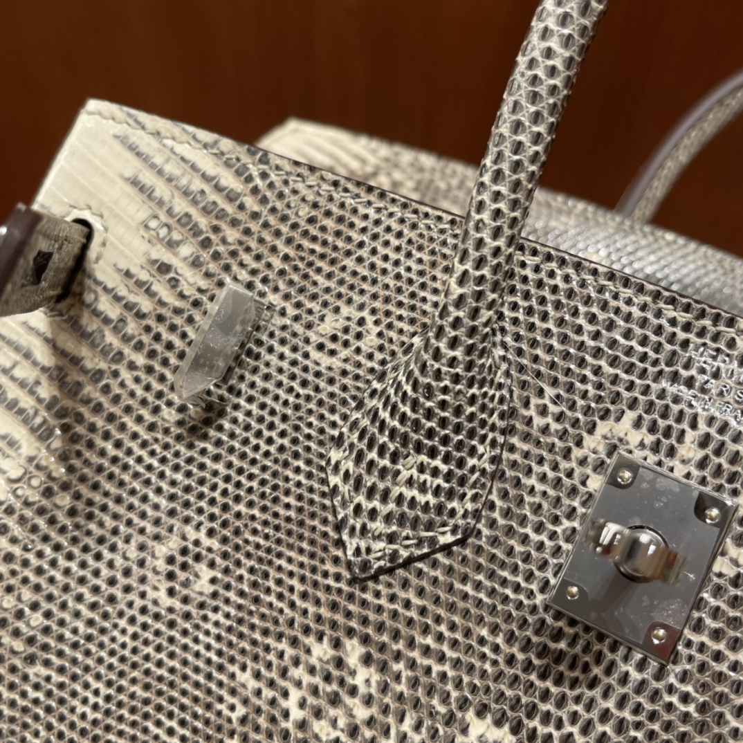 에르메스 버킨백25 히말라야 은장 리자드 가죽